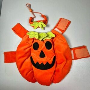 Pumpkin Dog Costume - Vibrant Orange and Leafy Green